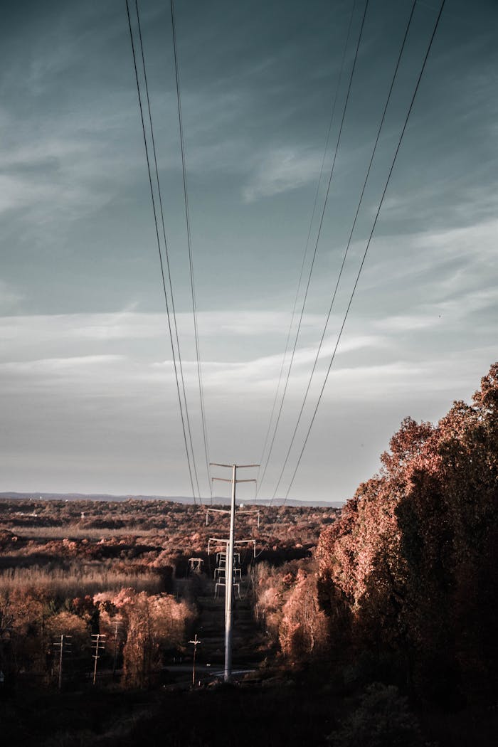 Home Scenic view of high voltage power lines stretching over autumn foliage.
